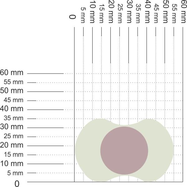 Schnuller CapiChill mintgrün SPEZIALVERSCHLUSS! mintgrünem Ring SPEZIALVERSCHLUSS!